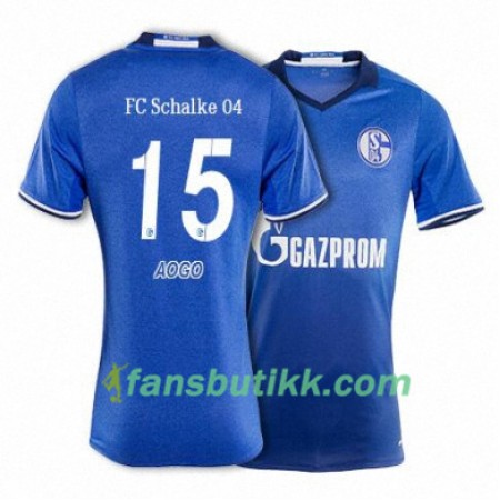 Fotballdrakt FC Schalke 04 AOGO 15 Hjemmetrøye 2017-2018 Kortermet