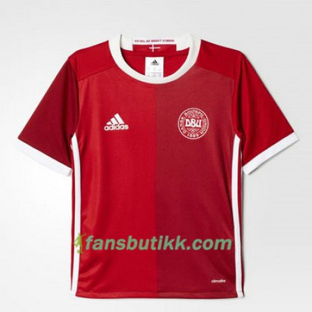 Fotballdrakt Danmark Hjemmetrøye Euro 2016